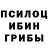 Псилоцибиновые грибы Psilocybe Aliona Mergel