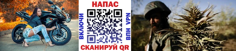 Конопля Ganja Иноземцево